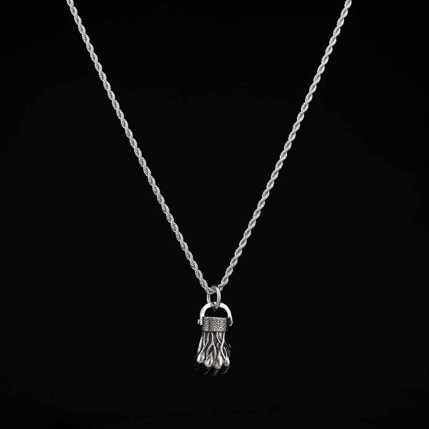 Silver Fist