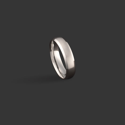 Silver Eclipse